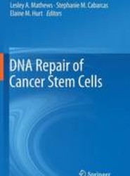 DNA Repair of Cancer Stem Cells