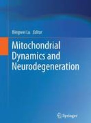 Mitochondrial Dynamics and Neurodegeneration