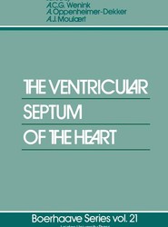 The Ventricular Septum of the Heart