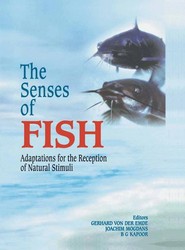 The Senses of Fish