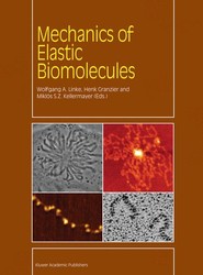 Mechanics of Elastic Biomolecules