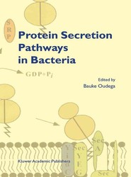 Protein Secretion Pathways in Bacteria