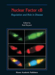 Nuclear Factor B