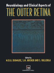 Neurobiology and Clinical Aspects of the Outer Retina