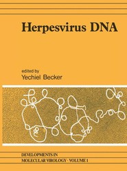 Herpesvirus DNA