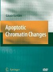 Apoptotic Chromatin Changes