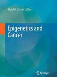 Epigenetics and Cancer