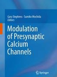 Modulation of Presynaptic Calcium Channels