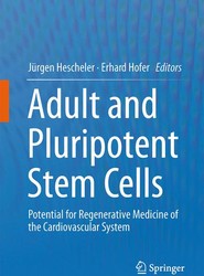 Adult and Pluripotent Stem Cells