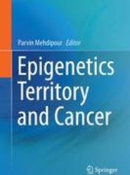 Epigenetics Territory and Cancer
