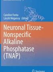 Neuronal Tissue-Nonspecific Alkaline Phosphatase (TNAP)