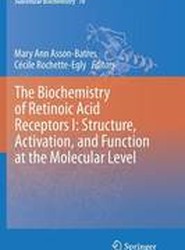 The Biochemistry of Retinoic Acid Receptors I: Structure, Activation, and Function at the Molecular Level