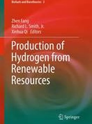 Production of Hydrogen from Renewable Resources