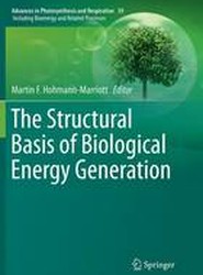 The Structural Basis of Biological Energy Generation