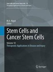 Stem Cells and Cancer Stem Cells, Volume 10