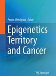 Epigenetics Territory and Cancer