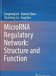 MicroRNA Regulatory Network: Structure and Function