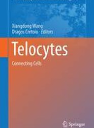 Telocytes