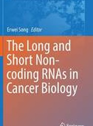 The Long and Short Non-coding RNAs in Cancer Biology