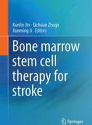 Bone marrow stem cell therapy for stroke
