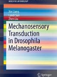Mechanosensory Transduction in Drosophila Melanogaster