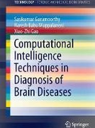 Computational Intelligence Techniques in Diagnosis of Brain Diseases