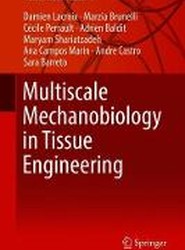 Multiscale Mechanobiology in Tissue Engineering
