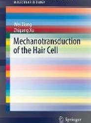 Mechanotransduction of the Hair Cell
