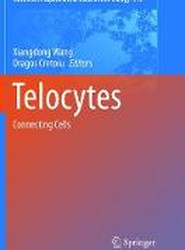 Telocytes