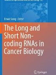 The Long and Short Non-coding RNAs in Cancer Biology