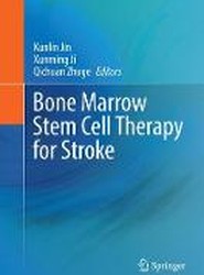 Bone marrow stem cell therapy for stroke
