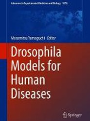 Drosophila Models for Human Diseases