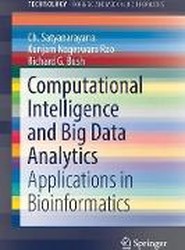 Computational Intelligence and Big Data Analytics
