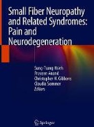 Small Fiber Neuropathy and Related Syndromes: Pain and Neurodegeneration