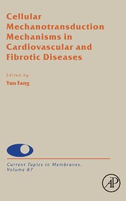 Cellular Mechanotransduction Mechanisms in Cardiovascular and Fibrotic Diseases: Volume 87