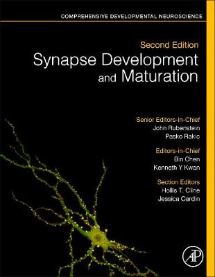 Synapse Development and Maturation