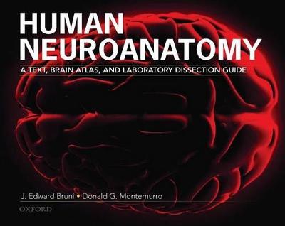 Human Neuroanatomy