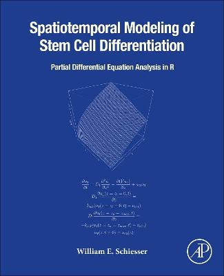 Spatiotemporal Modeling of Stem Cell Differentiation