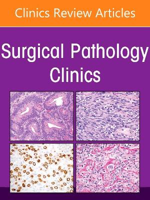 Pancreatobiliary Pathology, An Issue of Surgical Pathology Clinics: Volume 15-3