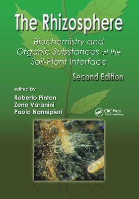 The Rhizosphere