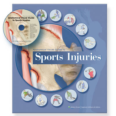 Anatomical Visual Guide to Sports Injuries
