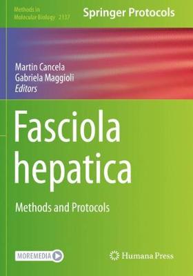 Fasciola hepatica