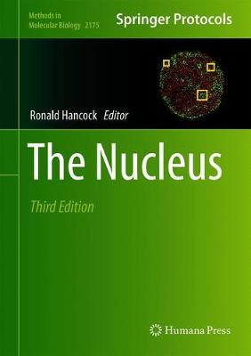 The Nucleus