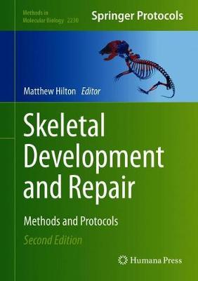 Skeletal Development and Repair