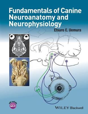 Canine Neuroanatomy