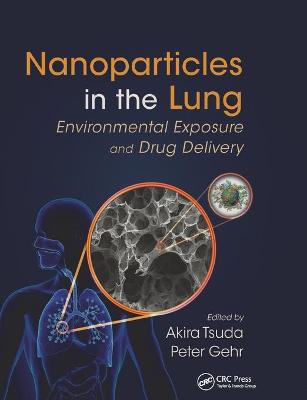 Nanoparticles in the Lung