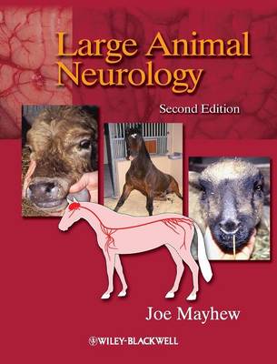 Large Animal Neurology