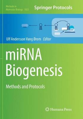 miRNA Biogenesis