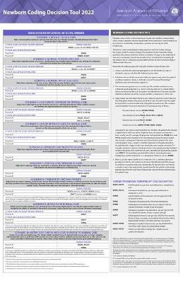 Newborn Coding Decision Tool 2022