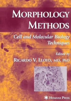 Morphology Methods